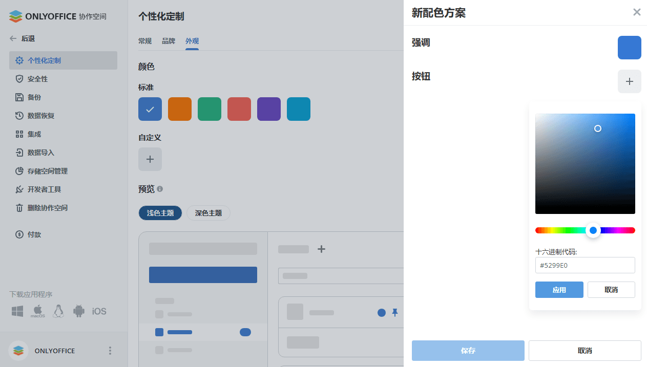 外观