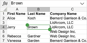Cell selection handles