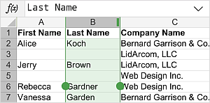 Column selection handles