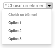 La zone de liste déroulante ouverte