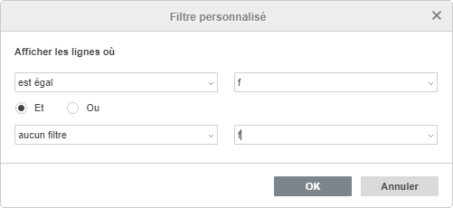 Fenêtre de filtre personnalisé