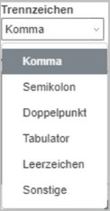 delimiter type