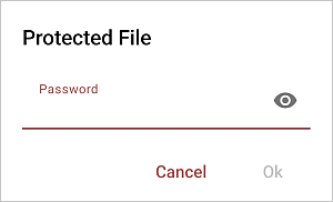 Protected file window