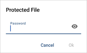 Protected file window