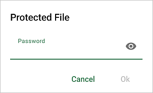 Open protected file