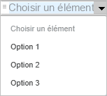 zone de liste déroulante ouverte