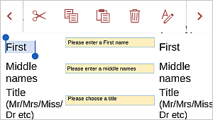 Local selection handles