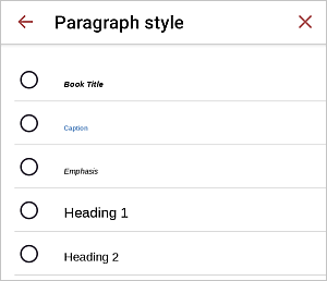 Paragraph Styles settings