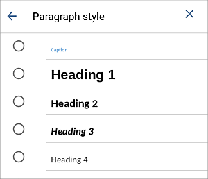 Paragraph Styles settings