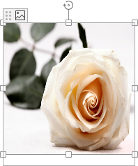 picture content control