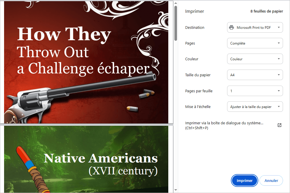 La fenêtre Paramètres d'impression