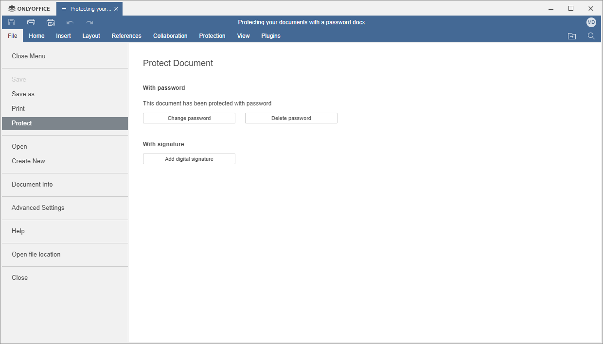 Protection section of the File tab