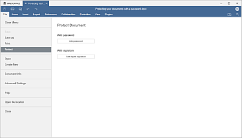 Protection section of the File tab