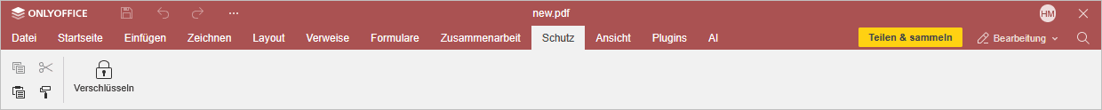 Registerkarte „Schutz