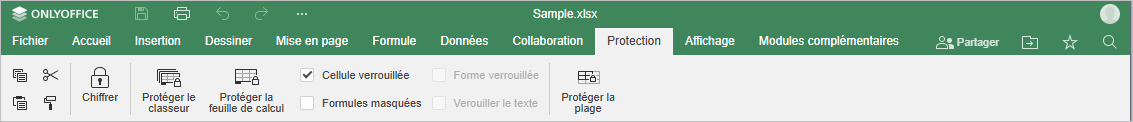 Onglet Protection