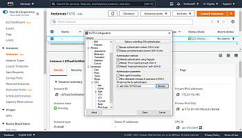 Verbinden Sie sich über SSH mit Ihrem Server