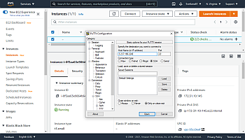 Verbinden Sie sich über SSH mit Ihrem Server