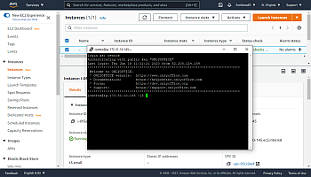 Verbinden Sie sich über SSH mit Ihrem Server