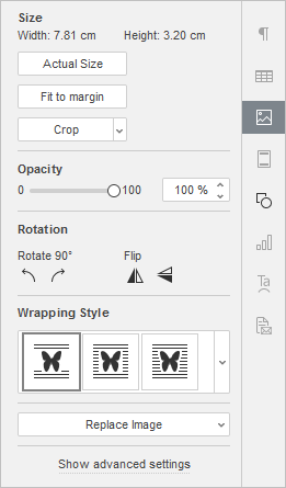 Image Settings tab