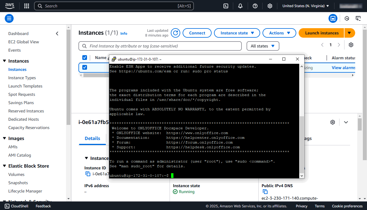 Connect to your server via SSH