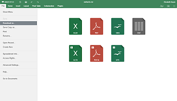How to export your CRM customer database and edit it using Spreadsheet Editor? Step 4