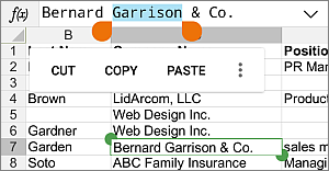 Select data in a cell