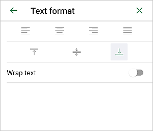 Text Format panel local